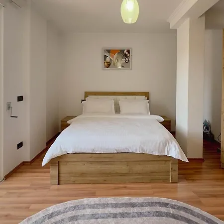 Whole Floor In Upscale Neighborhood 公寓 地拉那